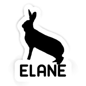 Autocollant Lapin Elane Image