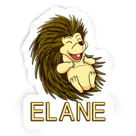 Sticker Hedgehog Elane Image