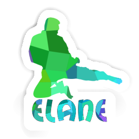 Elane Sticker Karateka Image