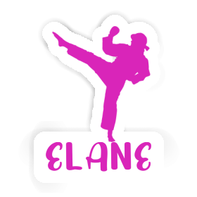 Elane Sticker Karateka Image