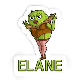 Autocollant Kiwi Elane Image