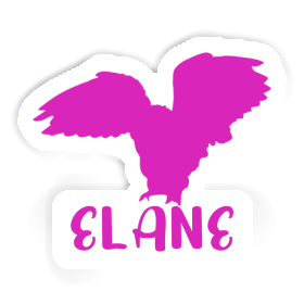 Sticker Owl Elane Image