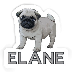 Elane Sticker Pug Image