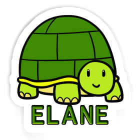 Autocollant Tortue Elane Image