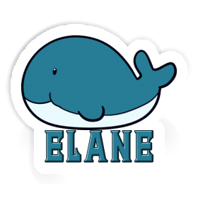 Whale Sticker Elane Image