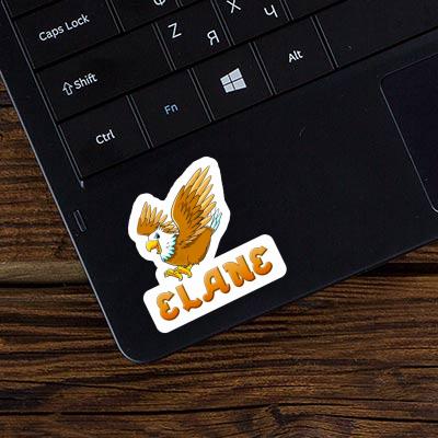 Sticker Elane Eagle Gift package Image