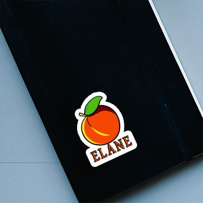 Aprikose Sticker Elane Notebook Image