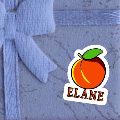 Sticker Elane Apricot Gift package Image