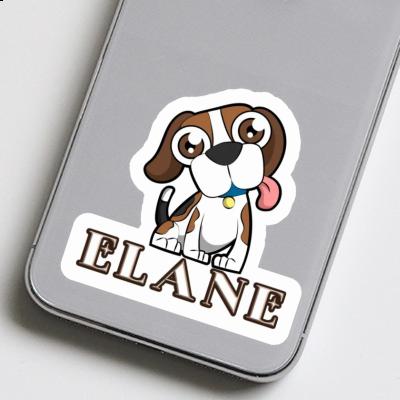 Autocollant Beagle-Hund Elane Gift package Image