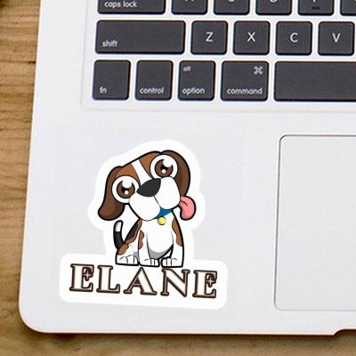 Elane Sticker Beagle Dog Gift package Image