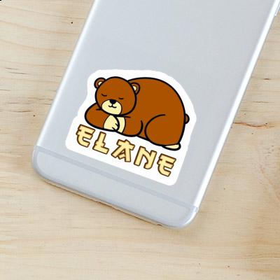 Sticker Bear Elane Notebook Image