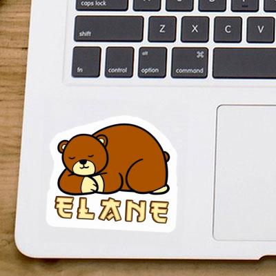 Sticker Bear Elane Laptop Image