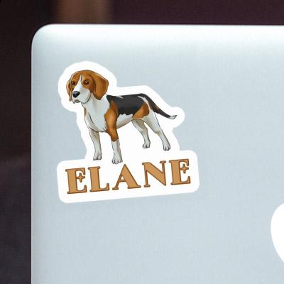 Elane Aufkleber Beagle Hund Gift package Image