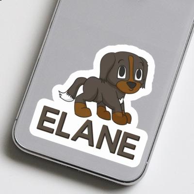 Sticker Bernese Mountain Dog Elane Image