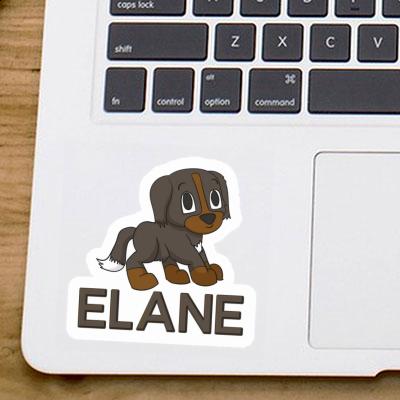 Sticker Bernese Mountain Dog Elane Laptop Image