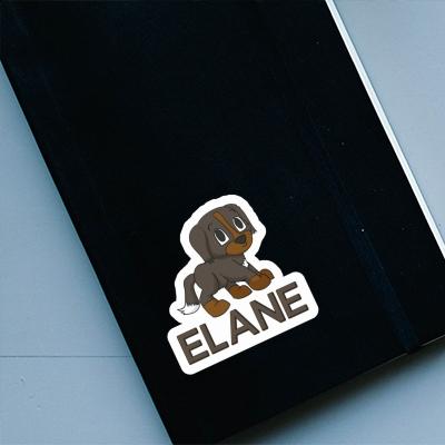 Sticker Bernese Mountain Dog Elane Image