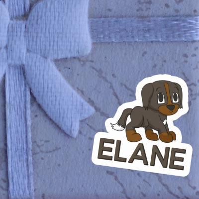 Sticker Bernese Mountain Dog Elane Laptop Image