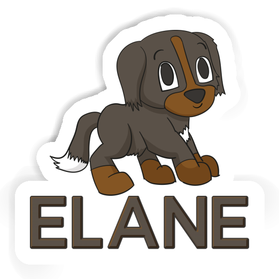 Sticker Bernese Mountain Dog Elane Gift package Image