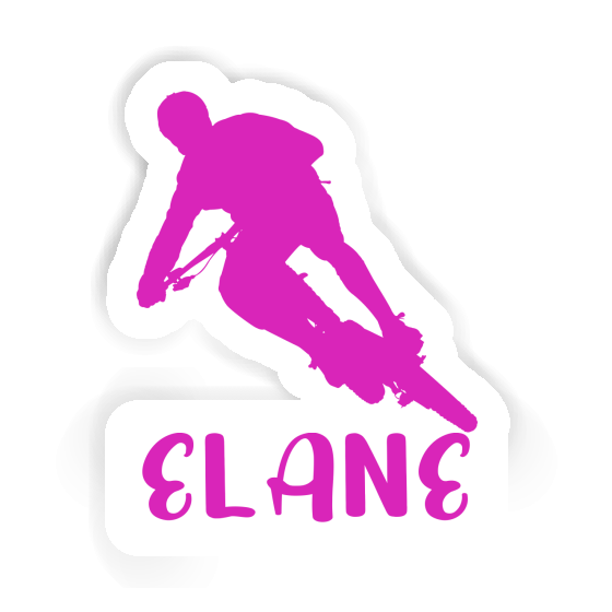 Biker Sticker Elane Gift package Image