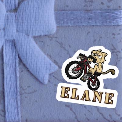 Aufkleber Elane Fahrradkatze Gift package Image