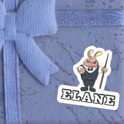 Lapin Autocollant Elane Gift package Image