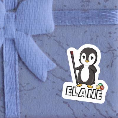 Elane Sticker Billiards Player Notebook Image