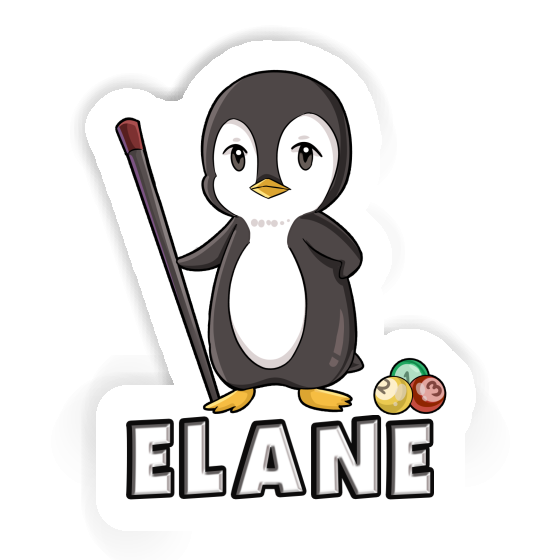 Elane Sticker Billiards Player Gift package Image