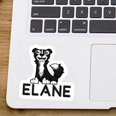 Sticker Border Collie Elane Laptop Image