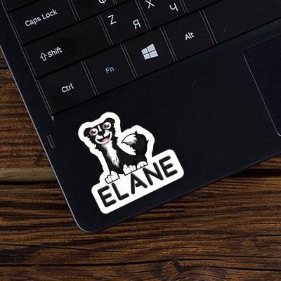 Elane Sticker Collie Laptop Image