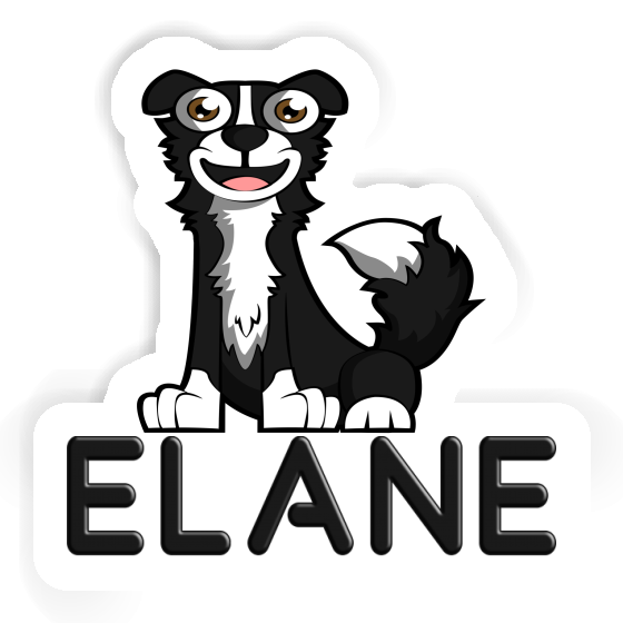 Sticker Border Collie Elane Gift package Image