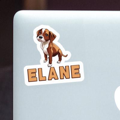 Sticker Boxer Dog Elane Gift package Image