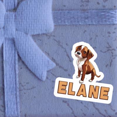 Sticker Elane Boxer Gift package Image