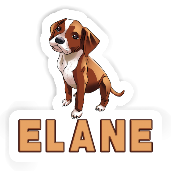 Sticker Elane Boxer Gift package Image