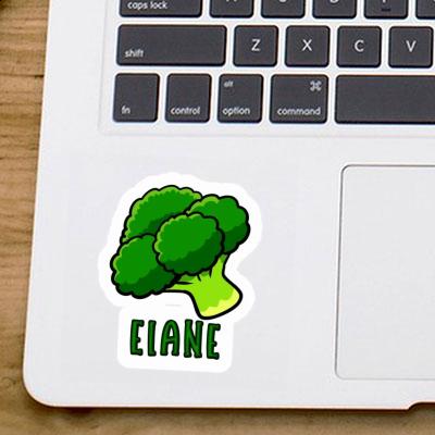 Broccoli Sticker Elane Image