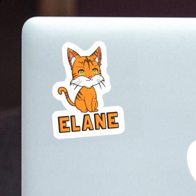 Sticker Elane Kitten Gift package Image