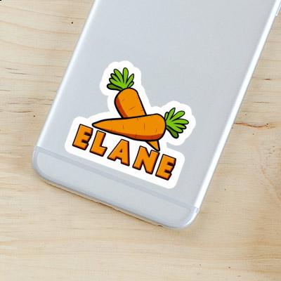 Sticker Karotte Elane Laptop Image