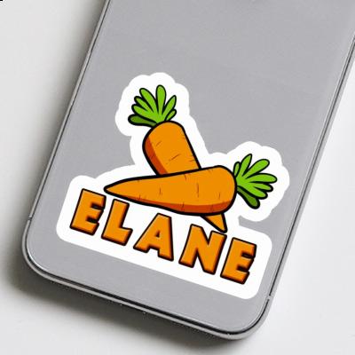 Elane Sticker Carrot Laptop Image