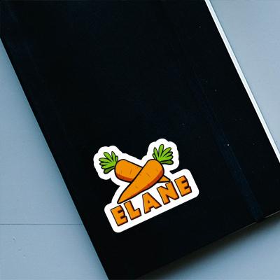 Elane Sticker Carrot Gift package Image