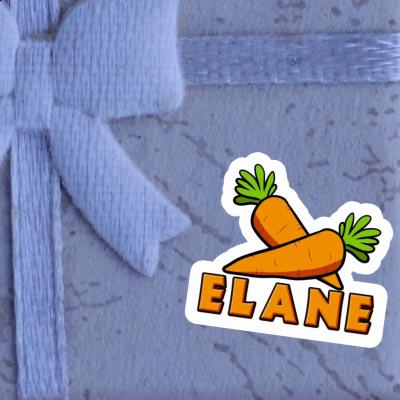 Sticker Karotte Elane Gift package Image