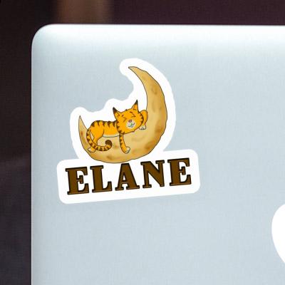 Sticker Elane Katze Gift package Image