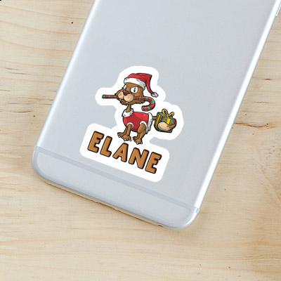 Elane Sticker Christmas Cat Gift package Image