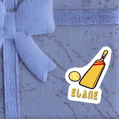 Cricket Bat Sticker Elane Gift package Image