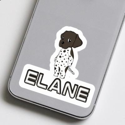 Sticker GSP Elane Gift package Image