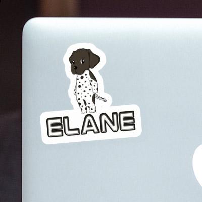 Elane Autocollant Braque Allemand Laptop Image