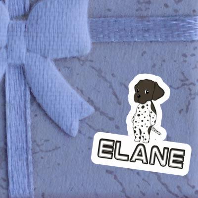 Elane Autocollant Braque Allemand Notebook Image