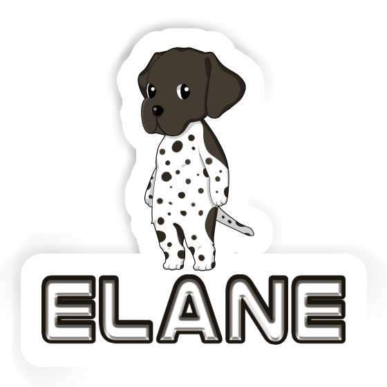 Elane Autocollant Braque Allemand Image