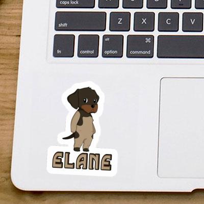 Sticker German Wirehaired Elane Notebook Image