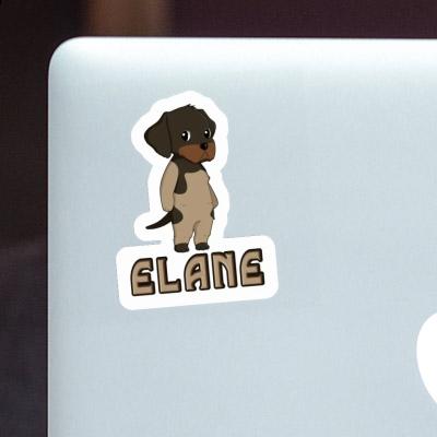 Sticker German Wirehaired Elane Notebook Image