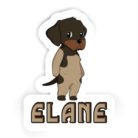 Sticker German Wirehaired Elane Gift package Image