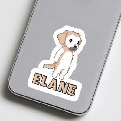 Autocollant Golden Retriever Elane Image